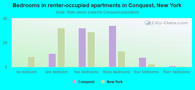 Bedrooms in renter-occupied apartments in Conquest, New York