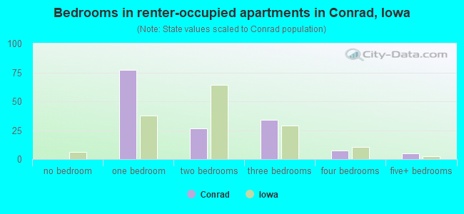 Bedrooms in renter-occupied apartments in Conrad, Iowa