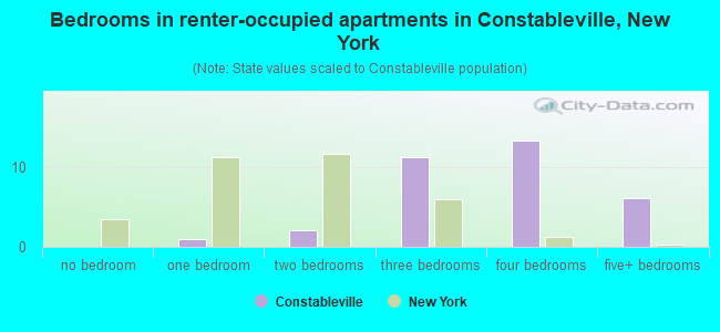 Bedrooms in renter-occupied apartments in Constableville, New York