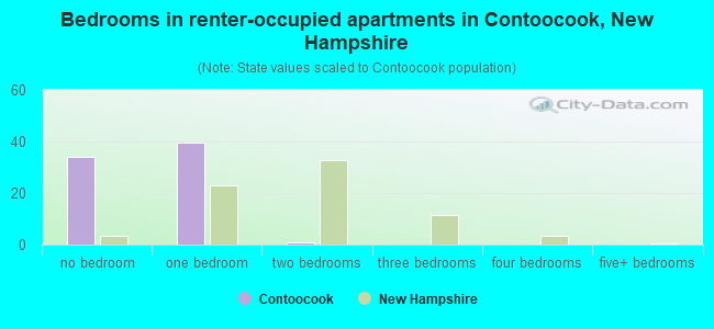 Bedrooms in renter-occupied apartments in Contoocook, New Hampshire