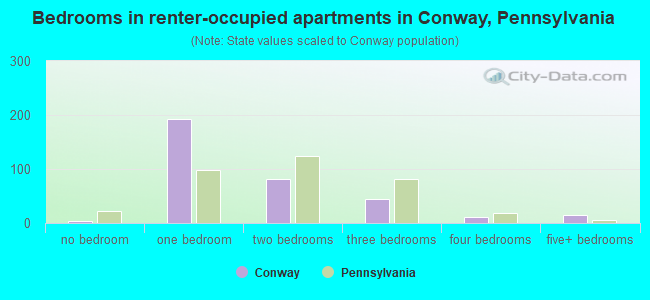 Bedrooms in renter-occupied apartments in Conway, Pennsylvania