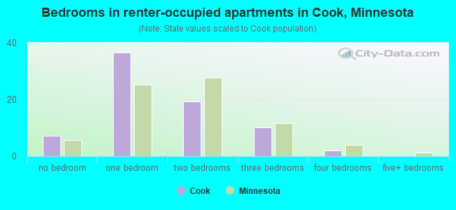 Bedrooms in renter-occupied apartments in Cook, Minnesota