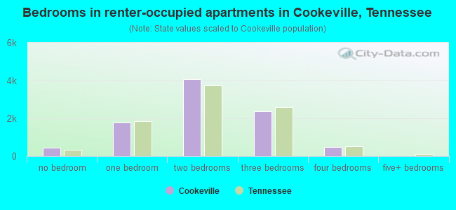 Bedrooms in renter-occupied apartments in Cookeville, Tennessee
