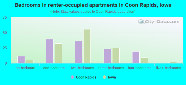 Bedrooms in renter-occupied apartments in Coon Rapids, Iowa