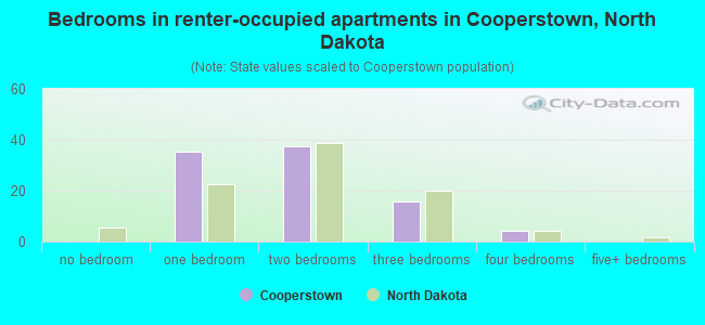 Bedrooms in renter-occupied apartments in Cooperstown, North Dakota