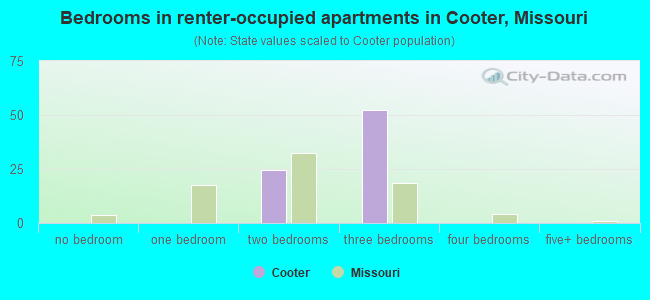 Bedrooms in renter-occupied apartments in Cooter, Missouri