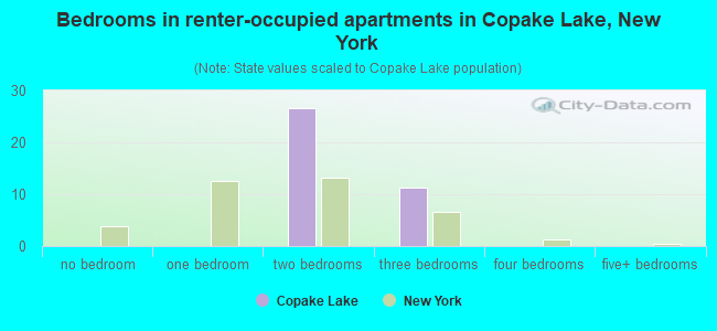 Bedrooms in renter-occupied apartments in Copake Lake, New York