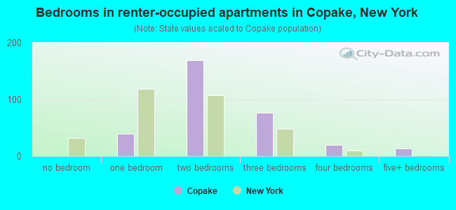 Bedrooms in renter-occupied apartments in Copake, New York