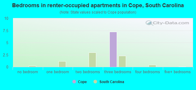 Bedrooms in renter-occupied apartments in Cope, South Carolina