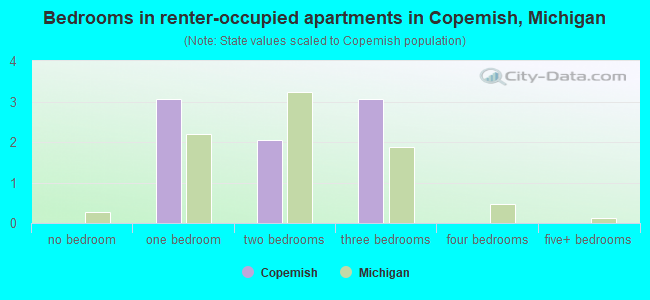 Bedrooms in renter-occupied apartments in Copemish, Michigan