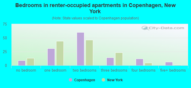Bedrooms in renter-occupied apartments in Copenhagen, New York