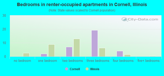 Bedrooms in renter-occupied apartments in Cornell, Illinois