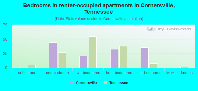 Bedrooms in renter-occupied apartments in Cornersville, Tennessee