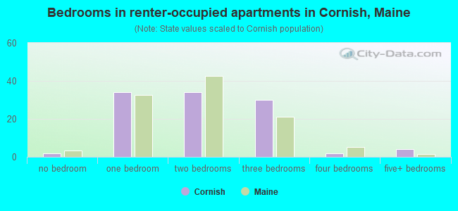 Bedrooms in renter-occupied apartments in Cornish, Maine