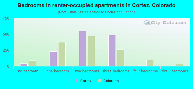 Bedrooms in renter-occupied apartments in Cortez, Colorado