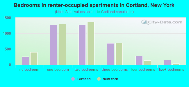Bedrooms in renter-occupied apartments in Cortland, New York