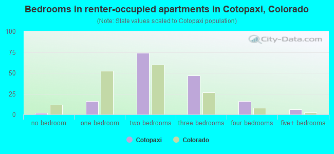 Bedrooms in renter-occupied apartments in Cotopaxi, Colorado