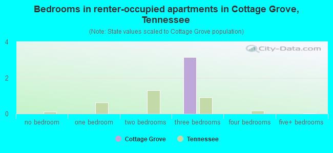 Bedrooms in renter-occupied apartments in Cottage Grove, Tennessee