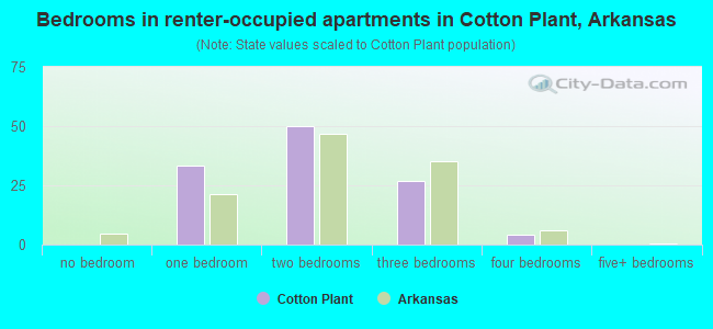 Bedrooms in renter-occupied apartments in Cotton Plant, Arkansas