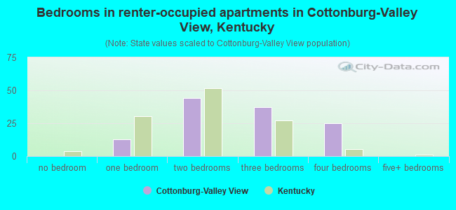 Bedrooms in renter-occupied apartments in Cottonburg-Valley View, Kentucky