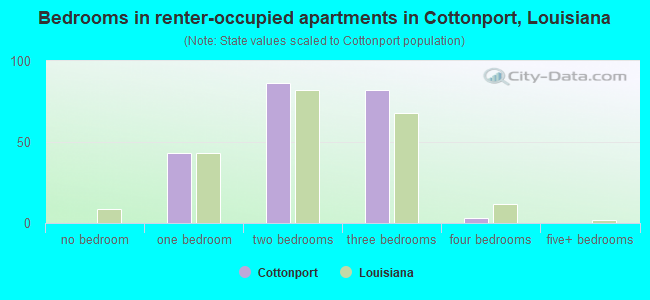 Bedrooms in renter-occupied apartments in Cottonport, Louisiana