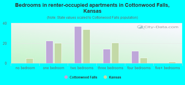 Bedrooms in renter-occupied apartments in Cottonwood Falls, Kansas