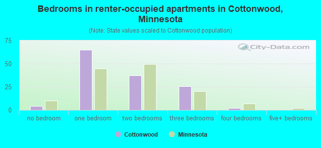 Bedrooms in renter-occupied apartments in Cottonwood, Minnesota