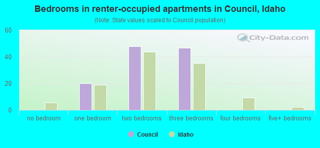 Bedrooms in renter-occupied apartments in Council, Idaho