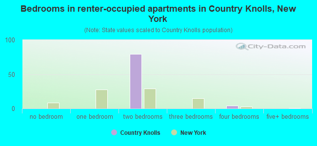 Bedrooms in renter-occupied apartments in Country Knolls, New York