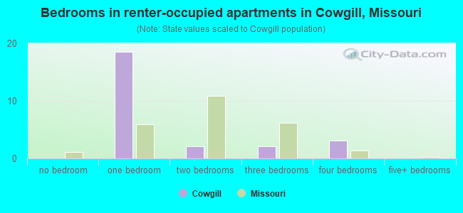 Bedrooms in renter-occupied apartments in Cowgill, Missouri