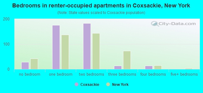 Bedrooms in renter-occupied apartments in Coxsackie, New York