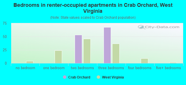 Bedrooms in renter-occupied apartments in Crab Orchard, West Virginia