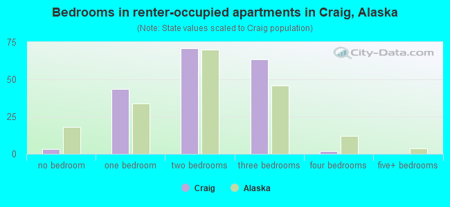 Bedrooms in renter-occupied apartments in Craig, Alaska
