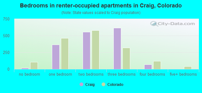 Bedrooms in renter-occupied apartments in Craig, Colorado