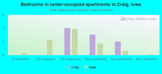 Bedrooms in renter-occupied apartments in Craig, Iowa