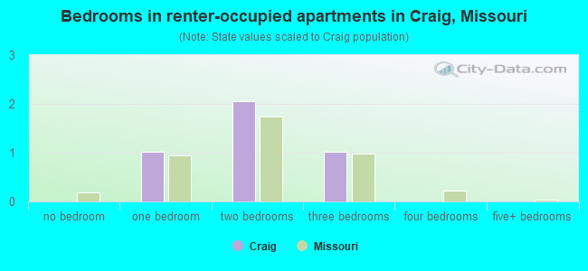 Bedrooms in renter-occupied apartments in Craig, Missouri