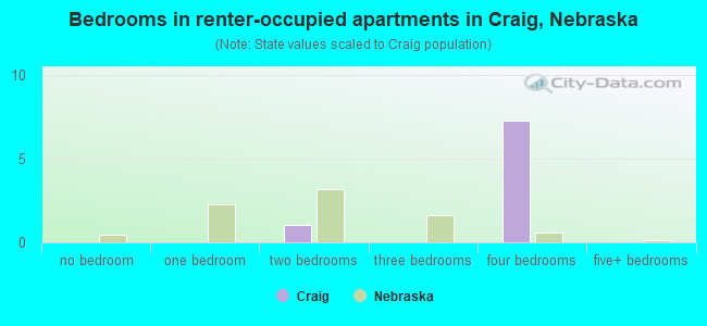 Bedrooms in renter-occupied apartments in Craig, Nebraska