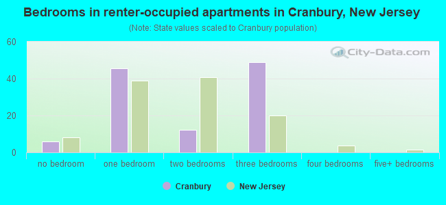 Bedrooms in renter-occupied apartments in Cranbury, New Jersey