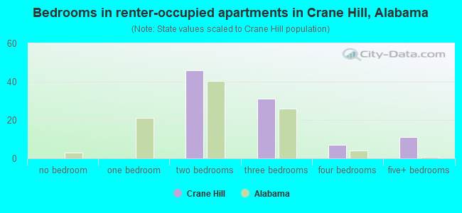 Bedrooms in renter-occupied apartments in Crane Hill, Alabama