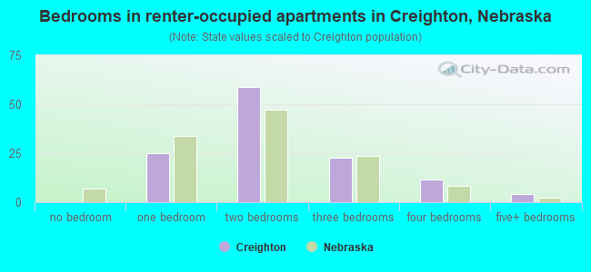 Bedrooms in renter-occupied apartments in Creighton, Nebraska