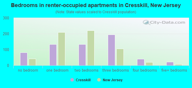 Bedrooms in renter-occupied apartments in Cresskill, New Jersey