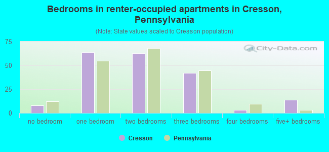 Bedrooms in renter-occupied apartments in Cresson, Pennsylvania