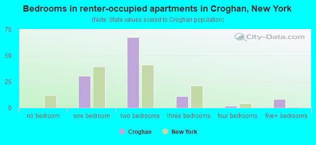 Bedrooms in renter-occupied apartments in Croghan, New York