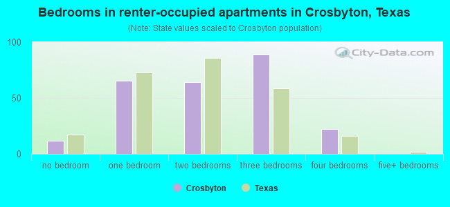 Bedrooms in renter-occupied apartments in Crosbyton, Texas