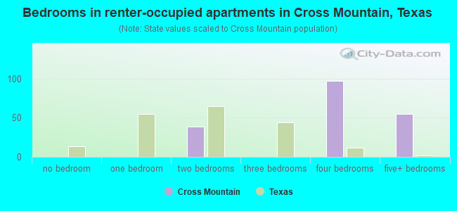 Bedrooms in renter-occupied apartments in Cross Mountain, Texas