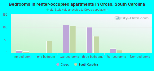 Bedrooms in renter-occupied apartments in Cross, South Carolina