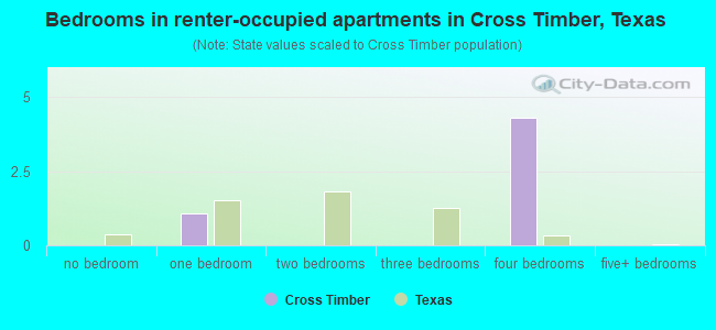 Bedrooms in renter-occupied apartments in Cross Timber, Texas