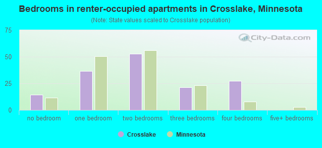 Bedrooms in renter-occupied apartments in Crosslake, Minnesota