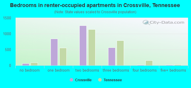 Bedrooms in renter-occupied apartments in Crossville, Tennessee