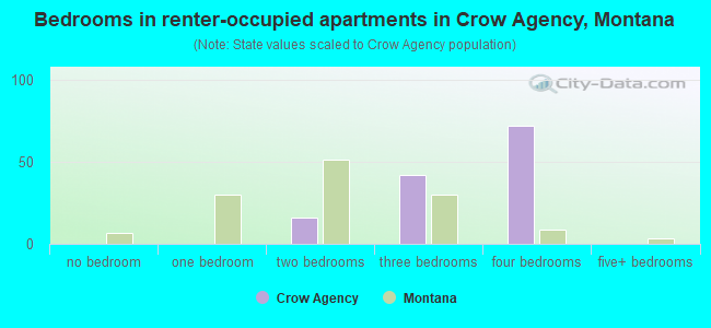 Bedrooms in renter-occupied apartments in Crow Agency, Montana